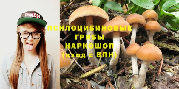 ALPHA PVP Белокуриха