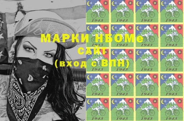 spice Богородск