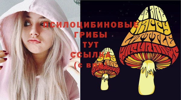МДПВ Беломорск