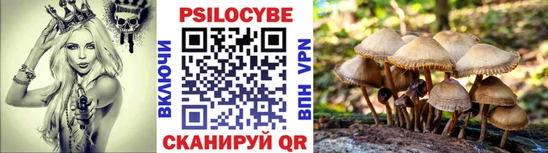 Галлюциногенные грибы ЛСД Саяногорск